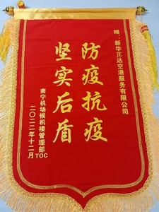 2022.12南宁锦旗1.jpeg