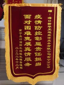 2022.12南宁锦旗.jpeg